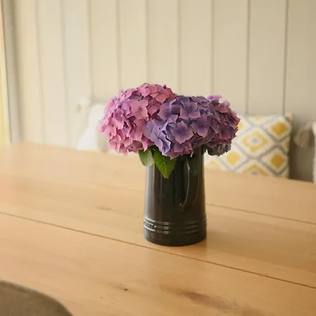 Ocean Breeze بيت للعطل